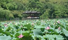 美丽的西湖公园