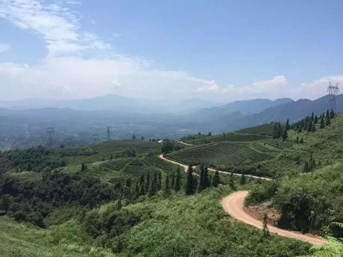 大坪山春季游