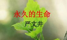 仿写永久的生命