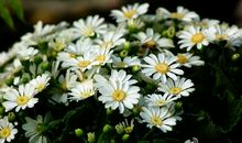 悼念烈士英魂珍惜幸福生活