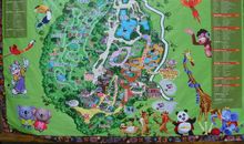 游广州长隆的野生动物园