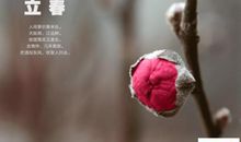 以立春为题的作文