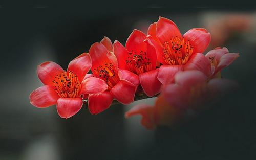 指尖的温暖