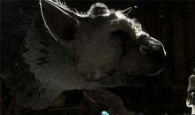 突破困境绽放光芒