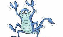 有时，我也想收起任性