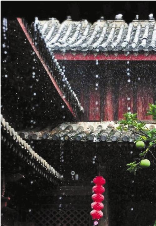 雨声_550字