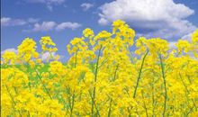 留点阳光给自己