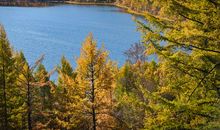 景色宜人的秋天