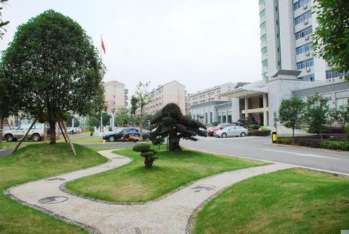 充满春天的学校