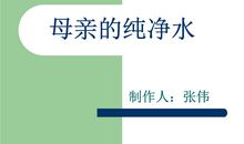 母亲的纯净水读后感