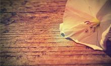 生活就是一本书