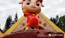 乐于助人的花花