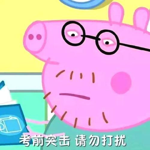 考试吸引了我