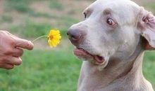 我最害怕的一件事