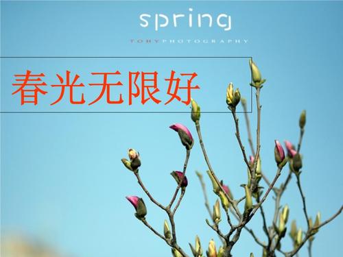 春天无限美好