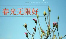春光无限好