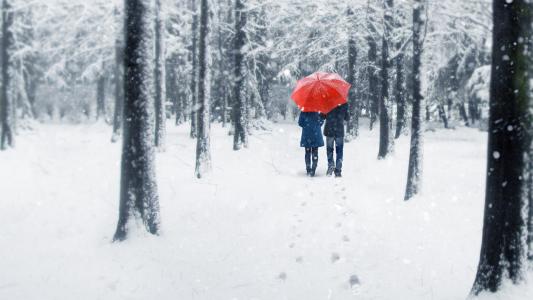 在雪中漫步