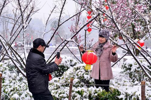 梅花在下雪天