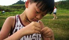 《花儿与歌声》观后感