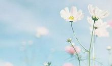 宽容若在友情长存