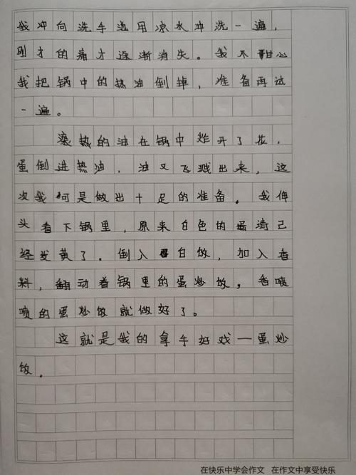 我的杰作400字