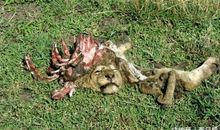 原来并不是这样