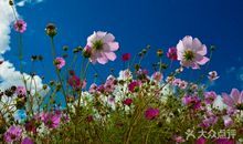 抬头仰望总有光芒