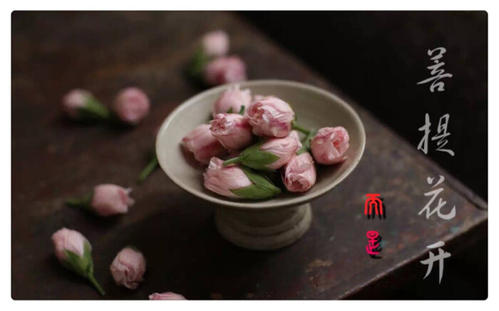 花的力量
