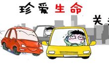 请遵守交通规则