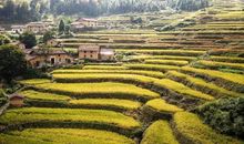 又是一年秋收时