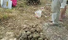 我常常怀念过去的美好时光