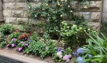 创造属于自己的美丽