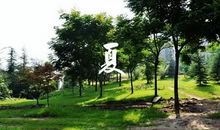 校园的四季风光