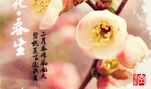 桃花牵动我的情思