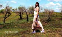 有梦想自在远方