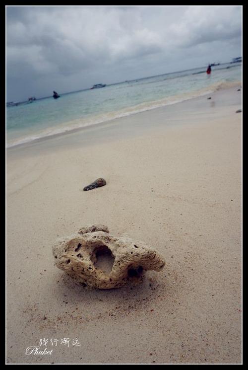 海滩冒险