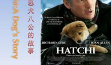 忠犬八公的故事观后感