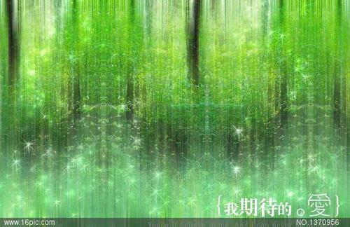 我很期待