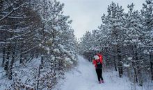 假如我是一场冬雪