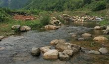 清澈的小河去哪了