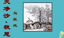 天净沙秋思改写