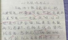 小老鼠吃西瓜看图说话