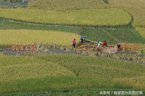 我感觉到国庆节