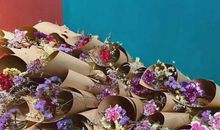 坚守心中的梦想