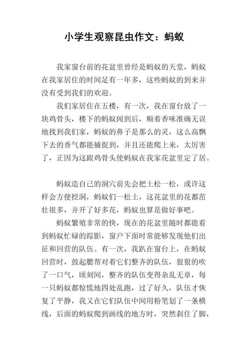 举例说明昆虫的智慧
