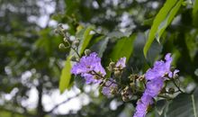 回首你就在这里