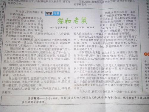 关于小鼠的成分