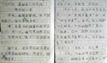 我喜欢什么作文300字三年级