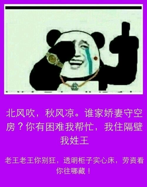 我们的中文老师王老
