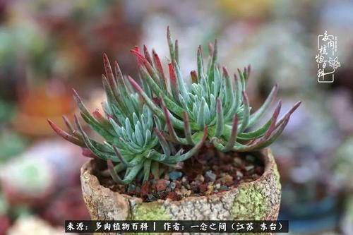心灵上的差距